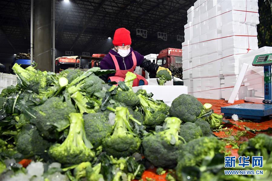 新华网：蔬菜产地供应充足 菜价在合理区间——来自蔬菜生产大省