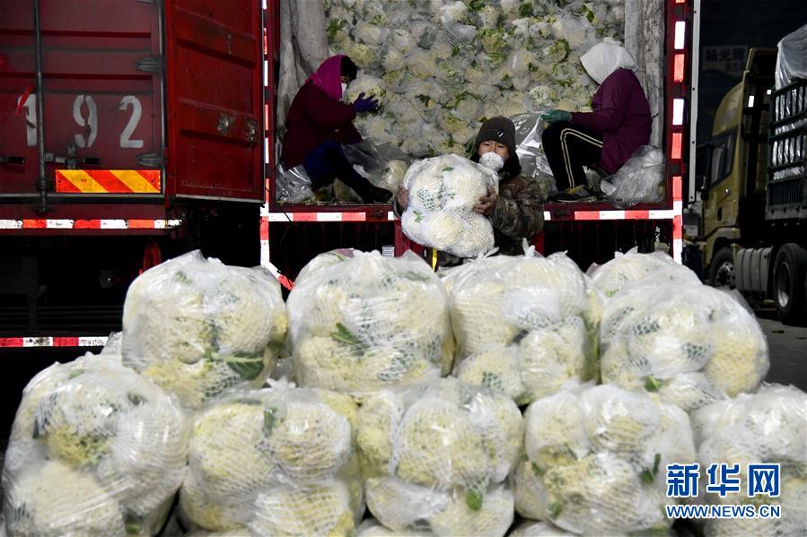 新华网：蔬菜产地供应充足 菜价在合理区间——来自蔬菜生产大省