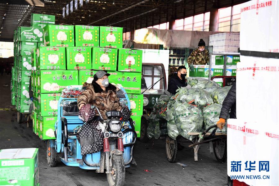 新华网：蔬菜产地供应充足 菜价在合理区间——来自蔬菜生产大省