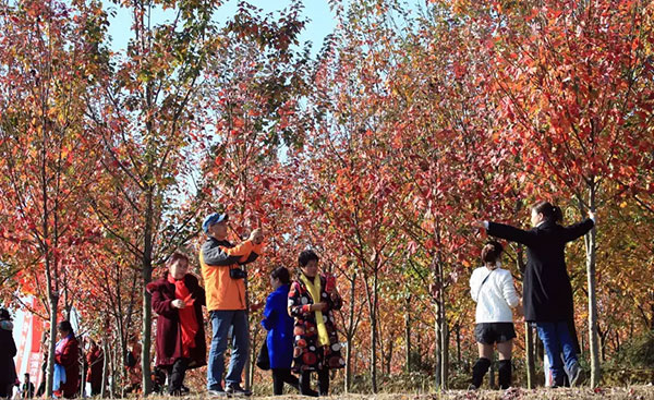 图片默认标题_fororder_1