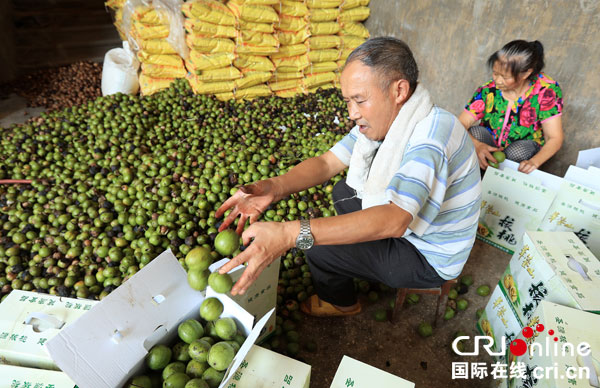 图片默认标题_fororder_生态干果山黑桃丰收[1]