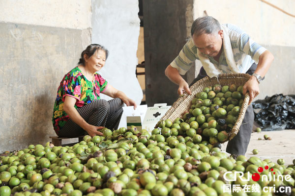 图片默认标题_fororder_生态干果山黑桃丰收[3]