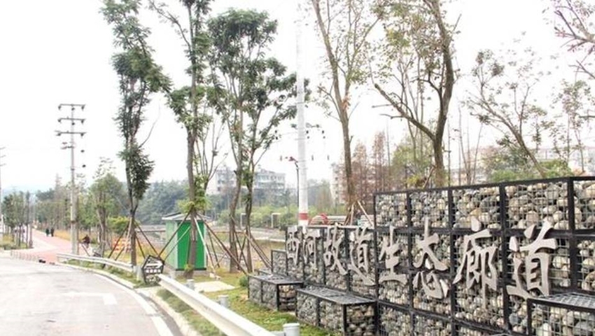 （导航成都，移动端）新津西河故道生态廊道建设已完工 赏秋日河景又添新地