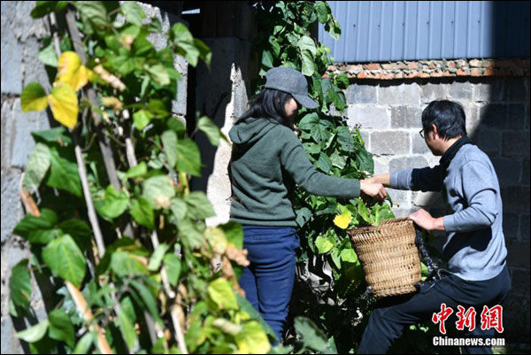 图片默认标题_fororder_20181123-mujiang-3