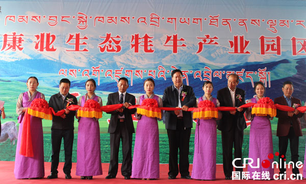 图片默认标题_fororder_康北生态牦牛-产业园区开园