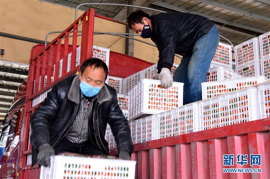 「新华网」吃的东西充足，做点花样菜吧！——中部地区最大农产品