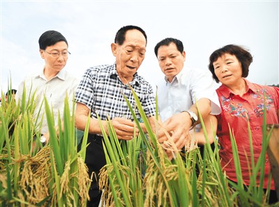 图片默认标题_fororder_J5-1