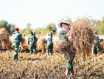 图片默认标题_fororder_J5-2