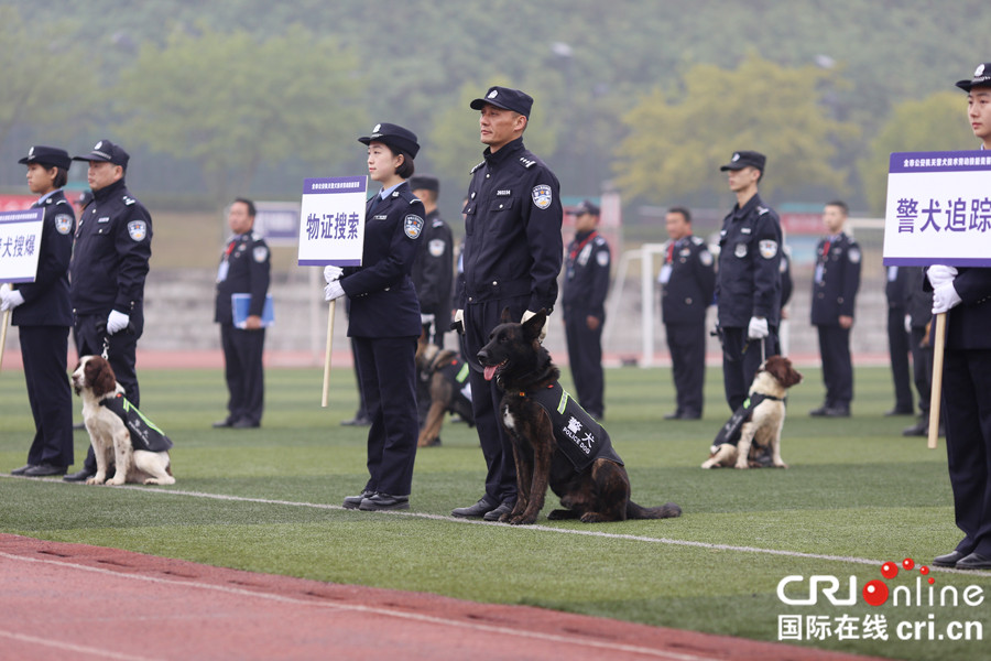 【法制安全】重庆市公安机关警犬技能大赛在重庆警察学院举行