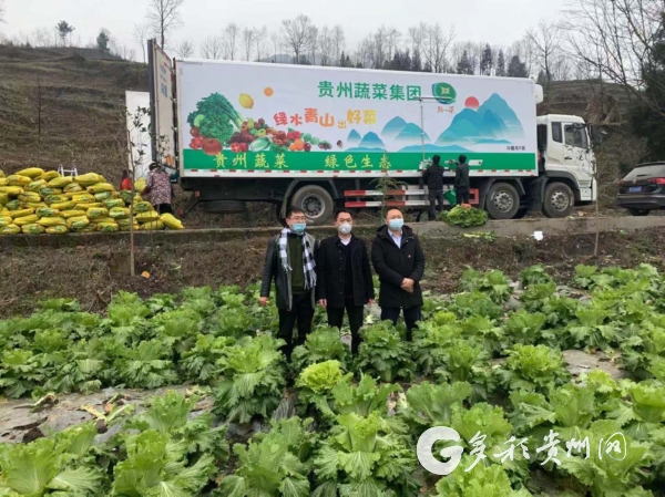 （社会）贵州蔬菜集团向湖北鄂州市捐赠500吨蔬菜