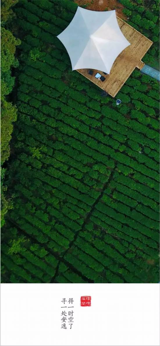 转载（导航雅安，移动端）全国仅6个全川唯一 雅安再添一个重量级殊誉