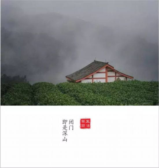 转载（导航雅安，移动端）全国仅6个全川唯一 雅安再添一个重量级殊誉