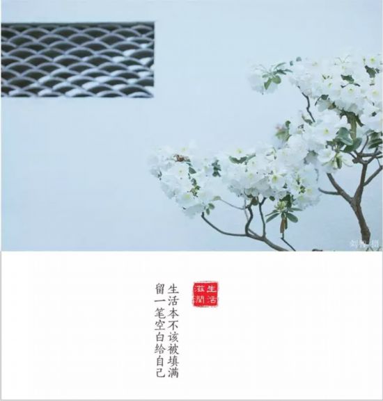 转载（导航雅安，移动端）全国仅6个全川唯一 雅安再添一个重量级殊誉