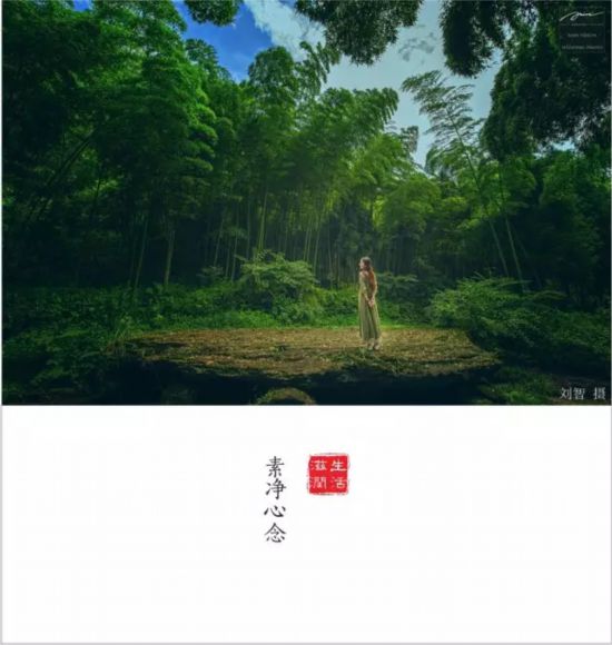 转载（导航雅安，移动端）全国仅6个全川唯一 雅安再添一个重量级殊誉