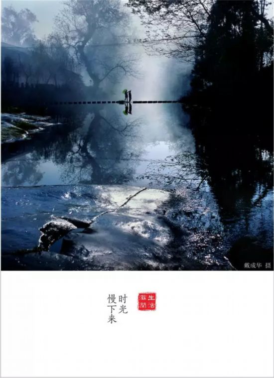 转载（导航雅安，移动端）全国仅6个全川唯一 雅安再添一个重量级殊誉