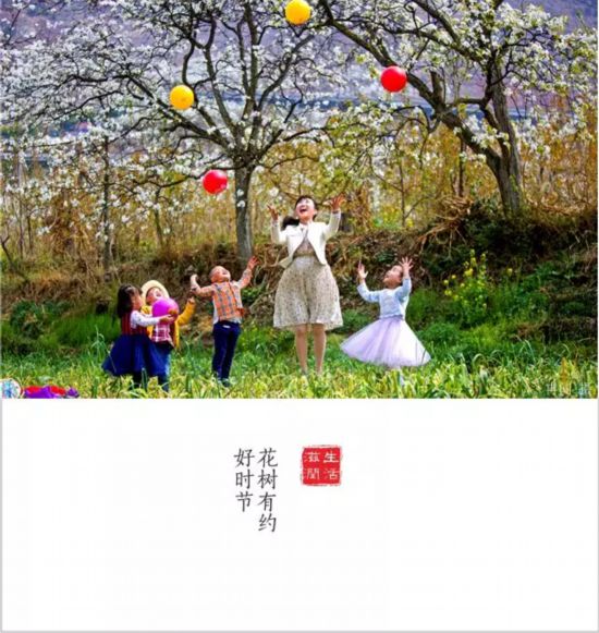 转载（导航雅安，移动端）全国仅6个全川唯一 雅安再添一个重量级殊誉