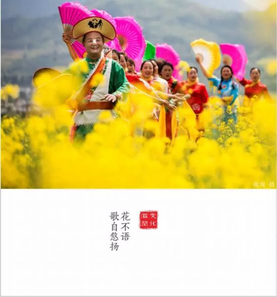 转载（导航雅安，移动端）全国仅6个全川唯一 雅安再添一个重量级殊誉