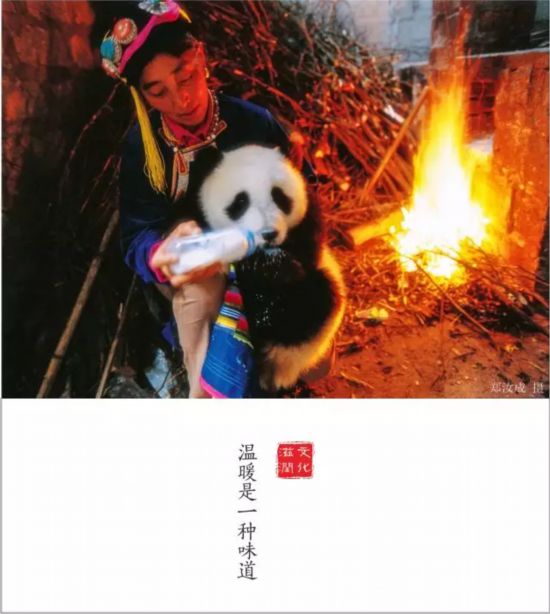 转载（导航雅安，移动端）全国仅6个全川唯一 雅安再添一个重量级殊誉