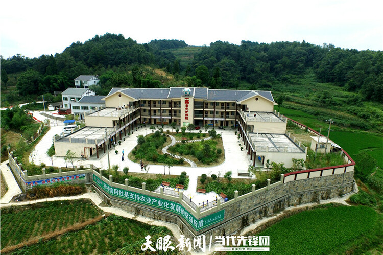 “老有所养”如何养?一文给你详细解答 | 在线访谈·第224期