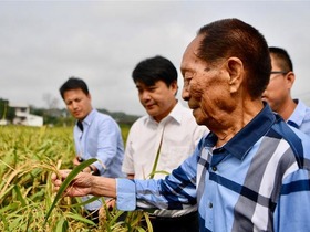 “杂交水稻之父”袁隆平：稻田里的拓荒者