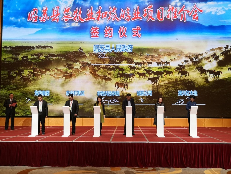 昭苏县农牧业和旅游业项目推介会在泰州举行