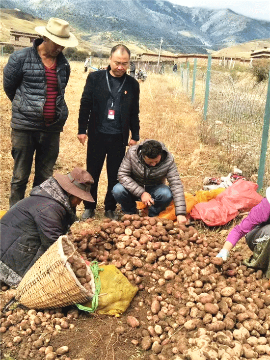 四川师范大学精准对口帮扶甘孜州理塘县