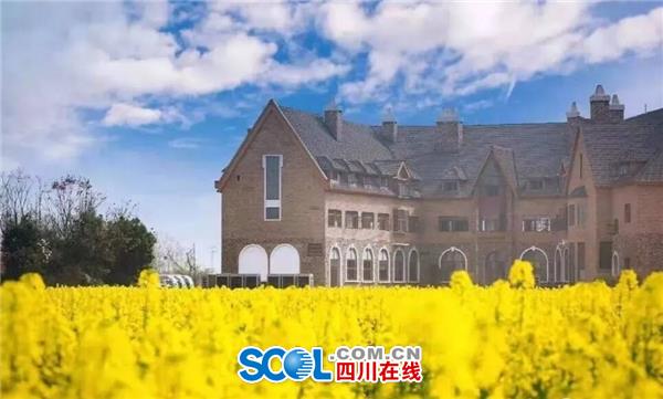 转载（导航成都）新津：九莲小学前世今生 文创让乡村更美丽