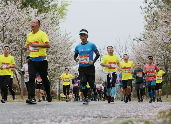 2019“千禾”眉山东坡国际半程马拉松开赛