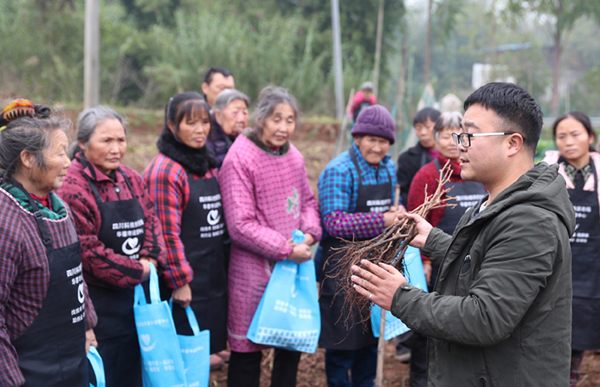 图片默认标题_fororder_1华蓥市的农业科技人员在省级贫困村观音溪镇跳石沟村向贫困户现场传授葡萄培植技术