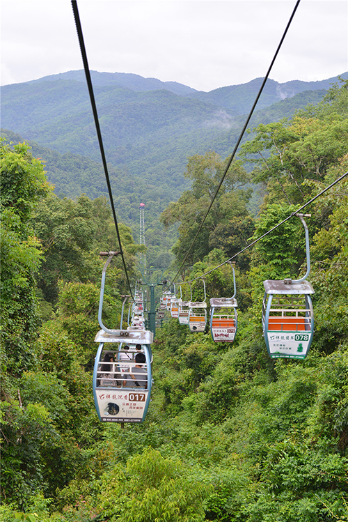 图片默认标题_fororder_西双版纳野象谷风景（西双版纳傣族自治州委宣传部-供图）