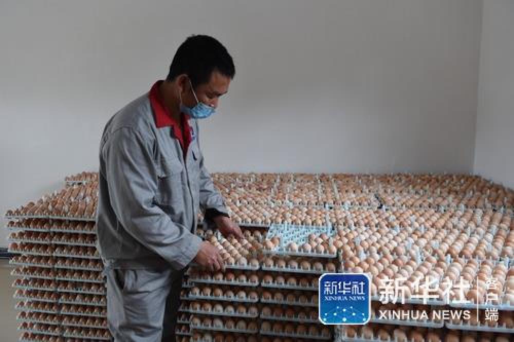 [新华网]防控不留死角 生产不误农时——广西宾阳农村春耕备耕见