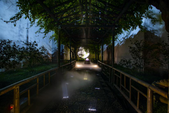 苏州园林博物馆馆长薛志坚谈拙政园夜游项目拙政问雅 苏州园林博物馆馆长薛志坚谈拙政园夜游项目拙政问雅