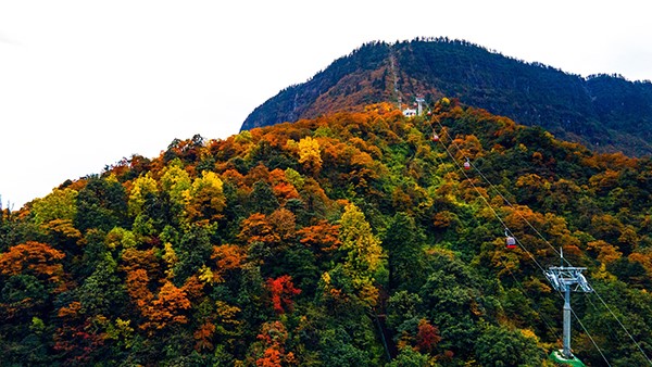 "ภูเขาหว่าอูซาน" ประดับสีสันฤดูใบไม้เปลี่ยนสีงดงามเป็นพิเศษ