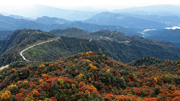 "ภูเขาหว่าอูซาน" ประดับสีสันฤดูใบไม้เปลี่ยนสีงดงามเป็นพิเศษ