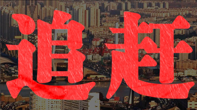 奔跑吧,优等生!丨而立浦东再出发 奔跑吧,优等生!丨而立浦东再出发