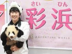 日本白浜野生动物园为熊猫幼崽取名“彩浜”_fororder_下载 (1)