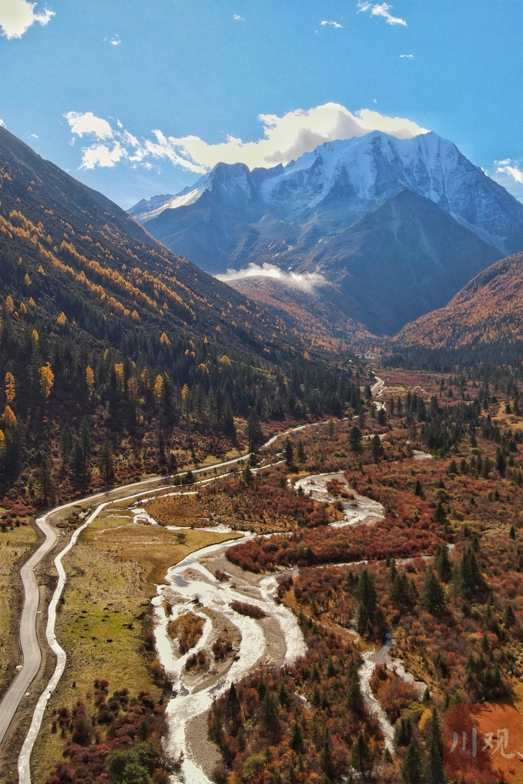 四川的秋天有多美|只一眼、再难忘,魅力无限的亚拉秋色