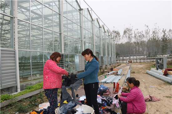 平顶山市鲁山县瀼河乡：草莓花儿开 群众乐开怀