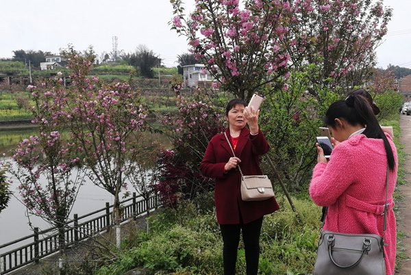 图片默认标题_fororder_樱花树前留影