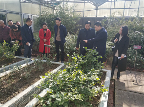 图片默认标题_fororder_2、参会人员参观犍为县中华茉莉种质园