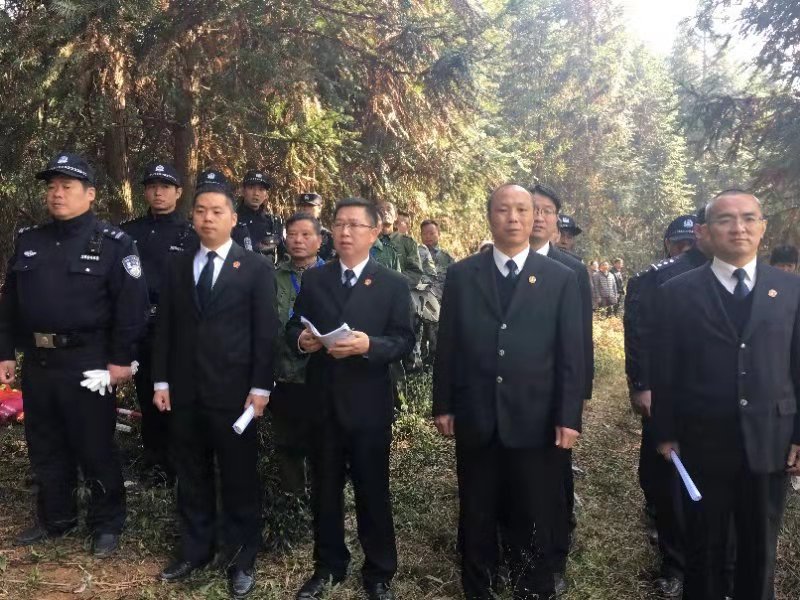 新干县法院执行干警及其他工作人员已抵达评估山场。_fororder_微信图片_20181127101813