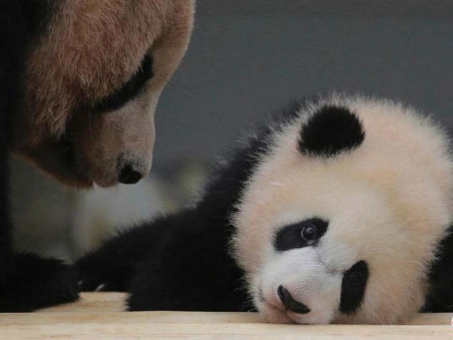 图片默认标题_fororder_13