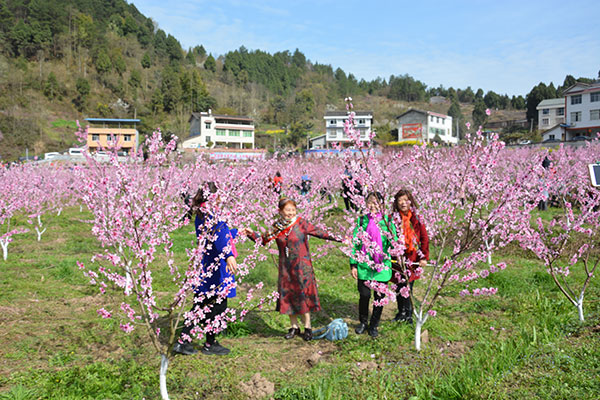 图片默认标题_fororder_3