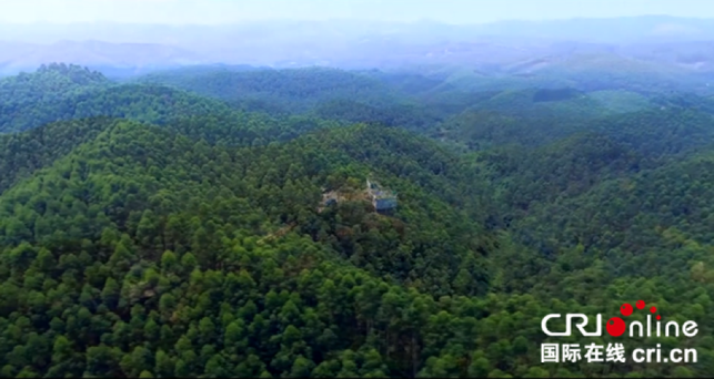 [唐已审][原创]广西要实现人工林产业多功能化