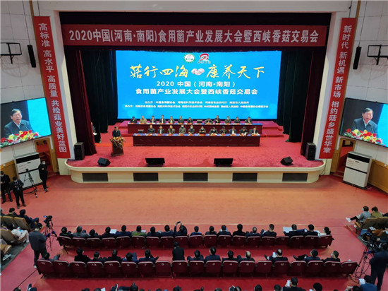 2020中国（河南·南阳）食用菌产业发展大会开幕
