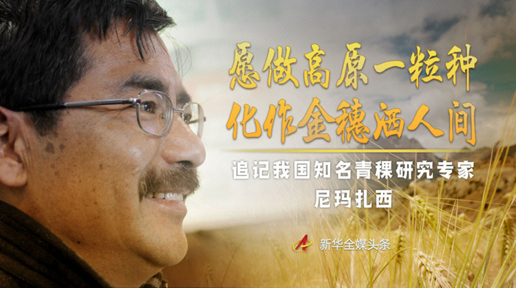 愿做高原一粒种 化作金穗撒人间——追记我国青稞研究专家尼玛扎西