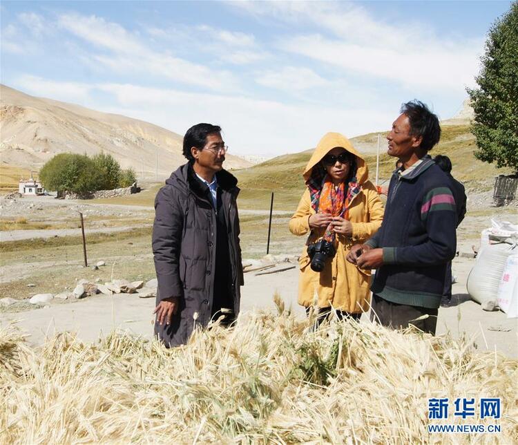 愿做高原一粒种 化作金穗撒人间——追记我国青稞研究专家尼玛扎西