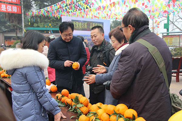 图片默认标题_fororder_2