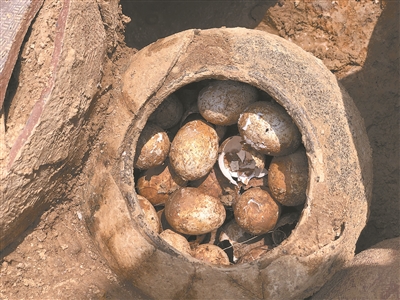 2500年前古墓挖出春秋时期鸡蛋 满满一罐完好无损