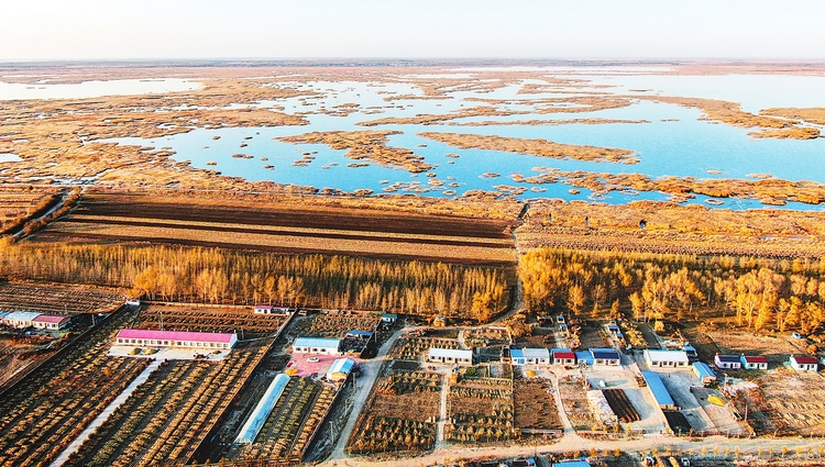 吉林省镇赉县全面加强生态保护与修复